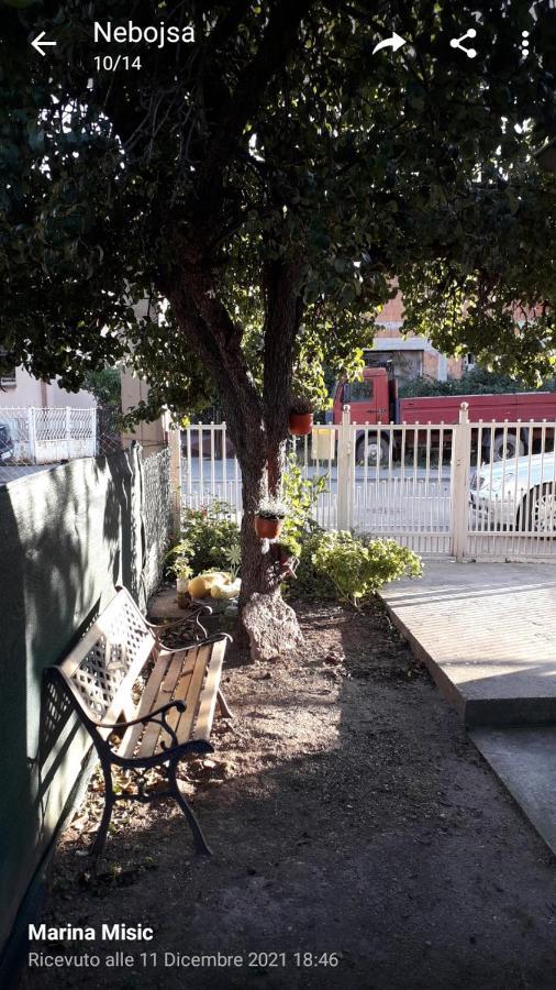 Apartman Milica Пожаревац Экстерьер фото