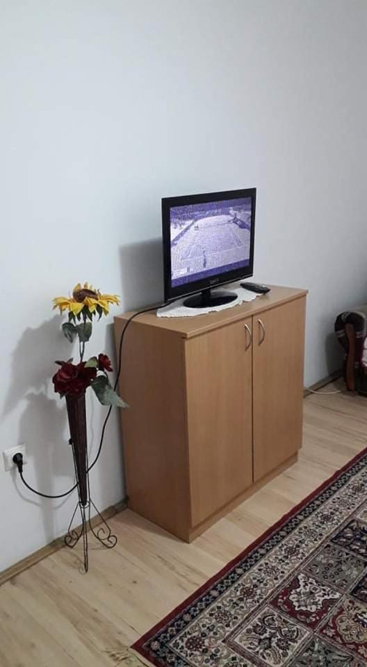 Apartman Milica Пожаревац Экстерьер фото